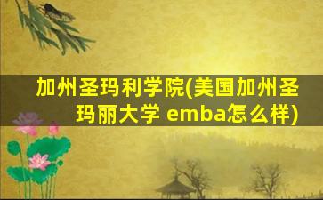 加州圣玛利学院(美国加州圣玛丽大学 emba怎么样)